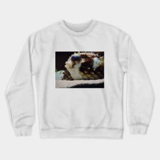 Peter the pufferfish Crewneck Sweatshirt